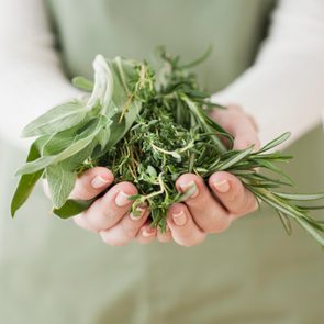 close up shot of woman holding herbs