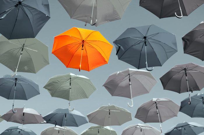 personality image umbrellas