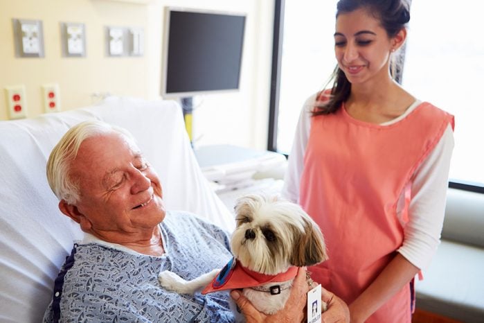 elderly man holding a puppy as an aide looks on