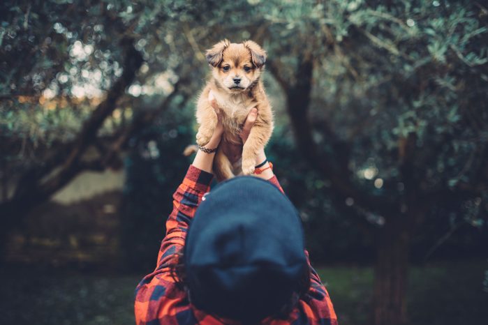 person holding a puppy in the air