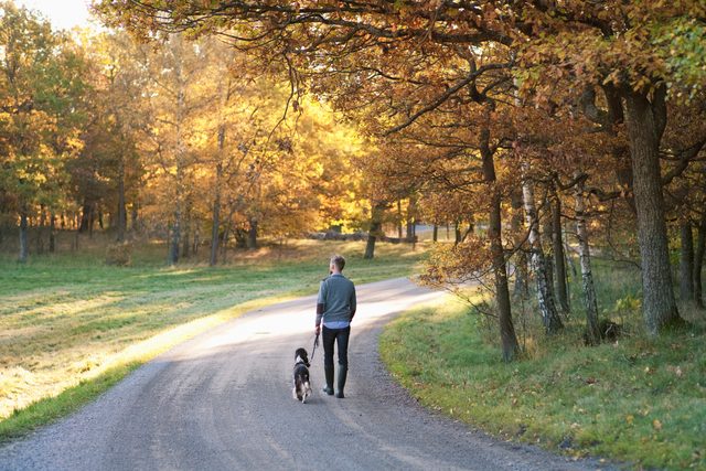 man walking with his dog through nature