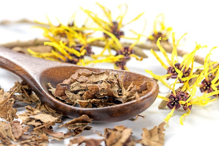 witch hazel, dried and blossoms with wooden spoon