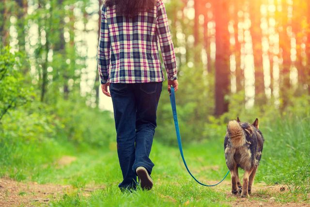 woman walking dog in woods