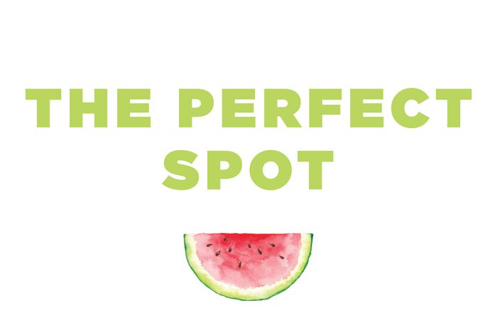 Illustration of a watermelon slice with the text: "the perfect spot."