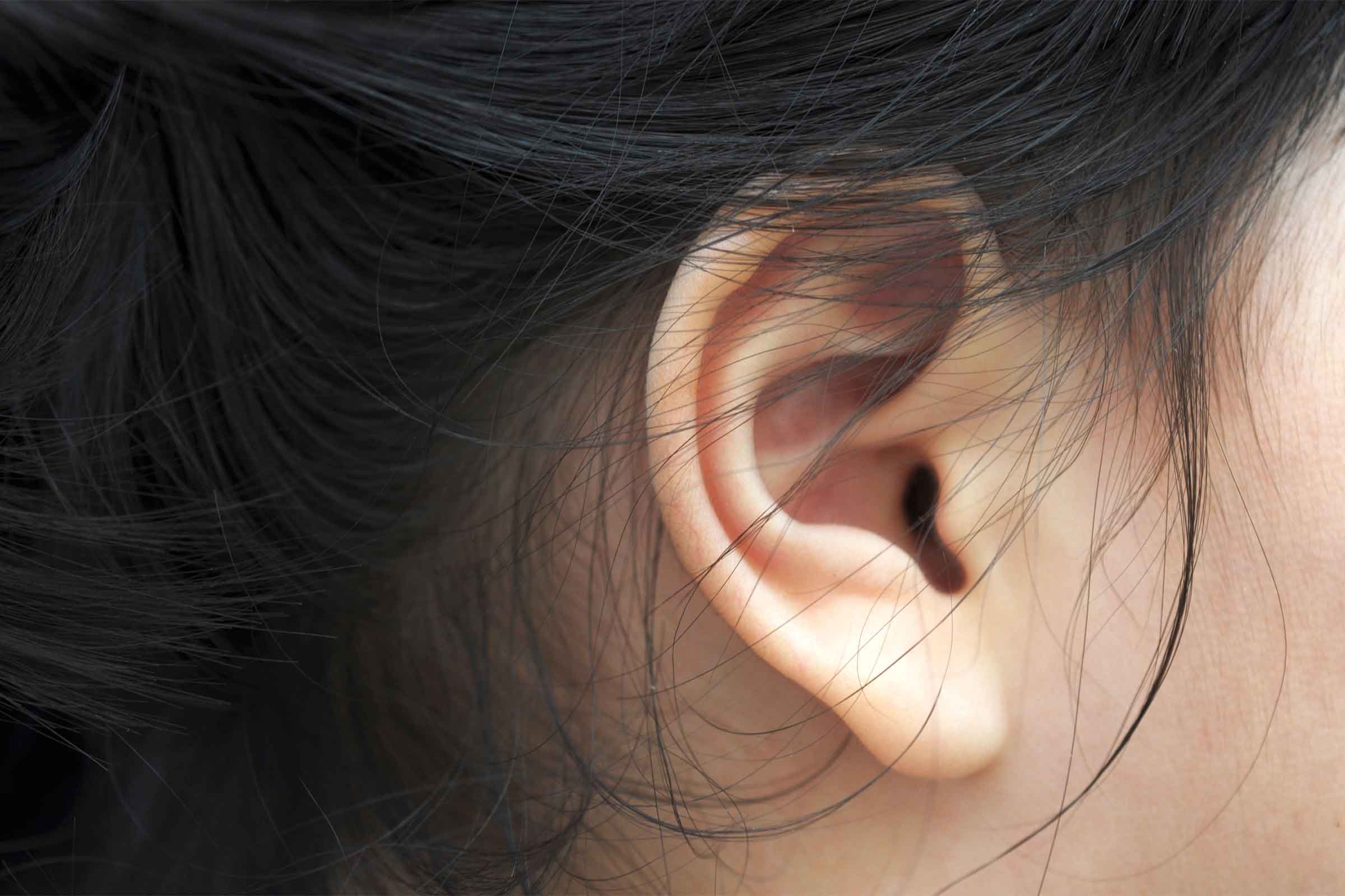 close-up of ear