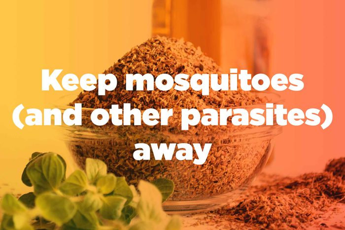 graphic saying "Keep mosquitoes (and other parasites) away"