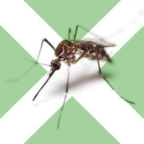 04-Surprising-Dos-and-Donts-of-Mosquito-Bites