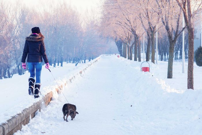 woman walking her dog on a snowy path
