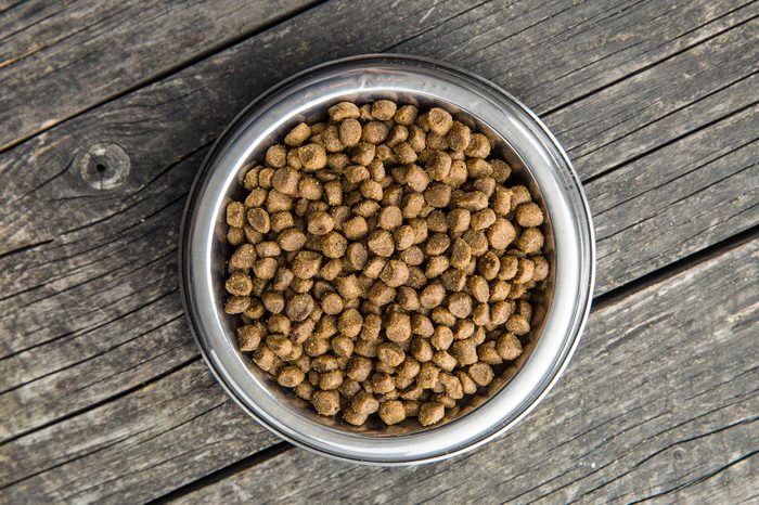 dog or cat food in a bowl