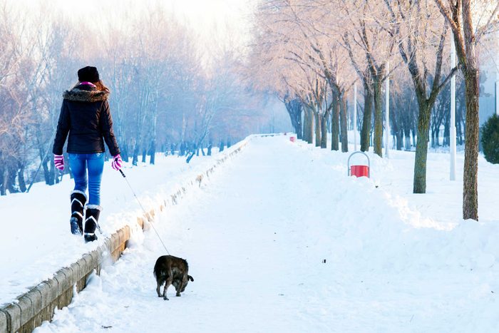 woman walking her dog in the snow