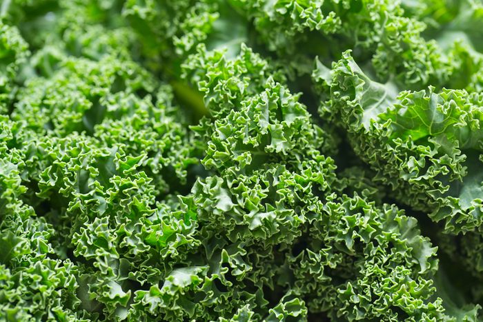 Close up of fresh kale