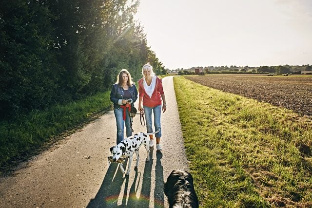 two friends on a walk with their dogs