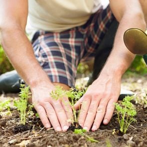 07_Immune_Surprising_Health_benefits_Gardening