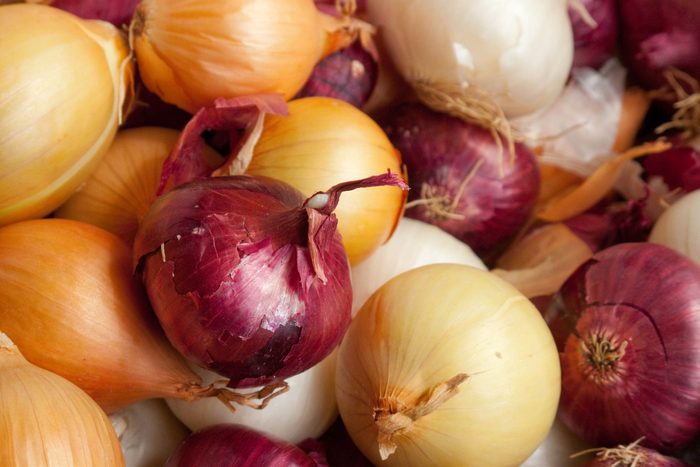 close up photo of onions