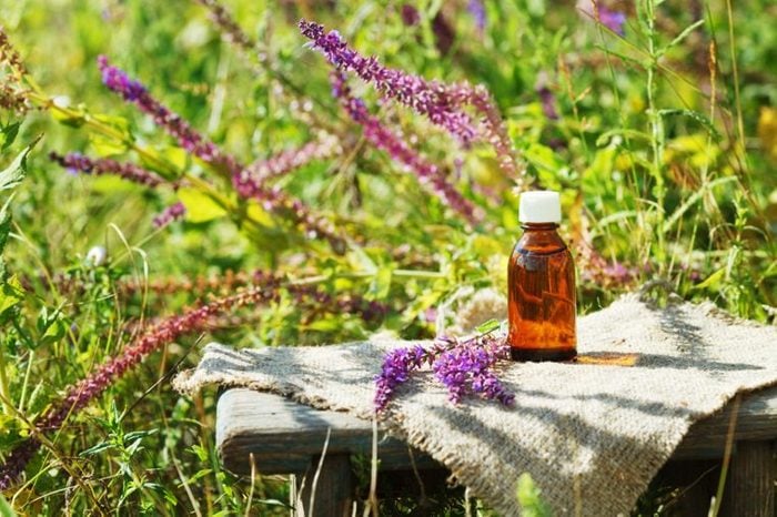 a field of blooms with essential oil bottle on a bench