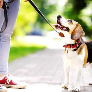 Finally!-Science-Just-Proved-That-Dog-Owners-Are-the-Best-Ever_