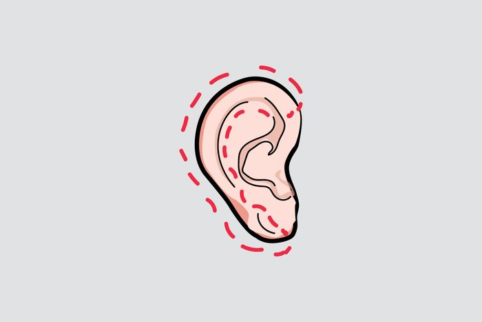 illustration of an ear