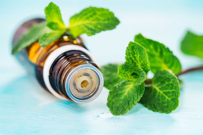 mint leaves with essential oil bottle on its side