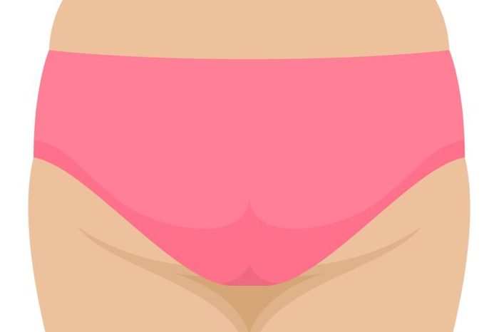 Illustration of pink panties.