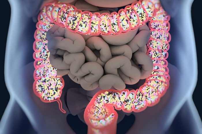 large intestine showing microbiome