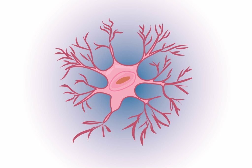 Graphic of a neuron