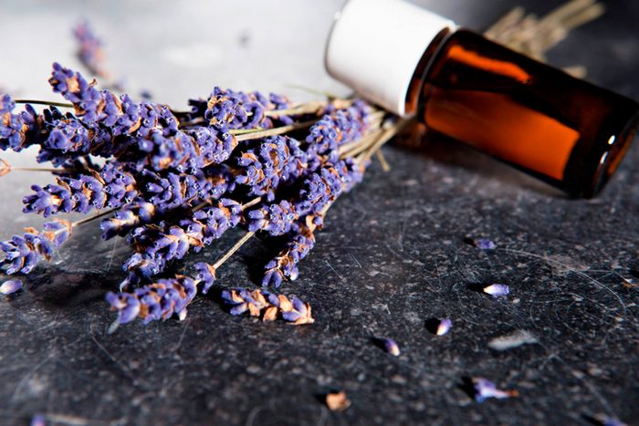 lavender blooms and bottle of essential oil