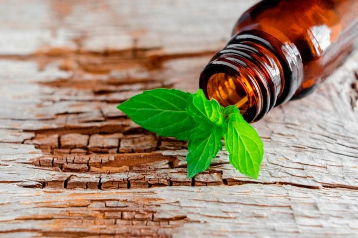 peppermint leaves in an essential oil bottle