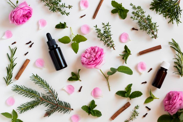 various herbs and blooms used in essential oils