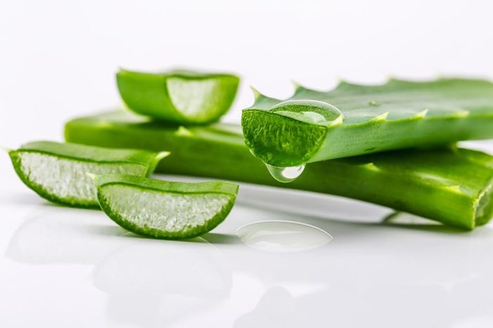 cut stems of an aloe vera plant on a white surface