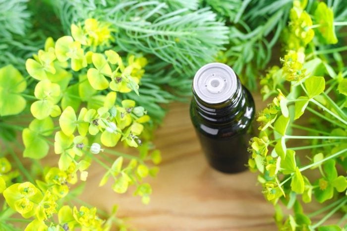 bottle of cypress oil surrounded by greens on table