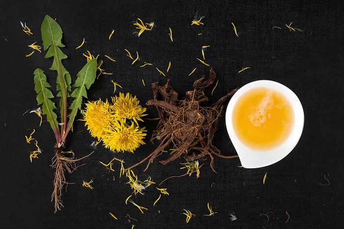 Dandelion blossoms, stems, roots, and extract