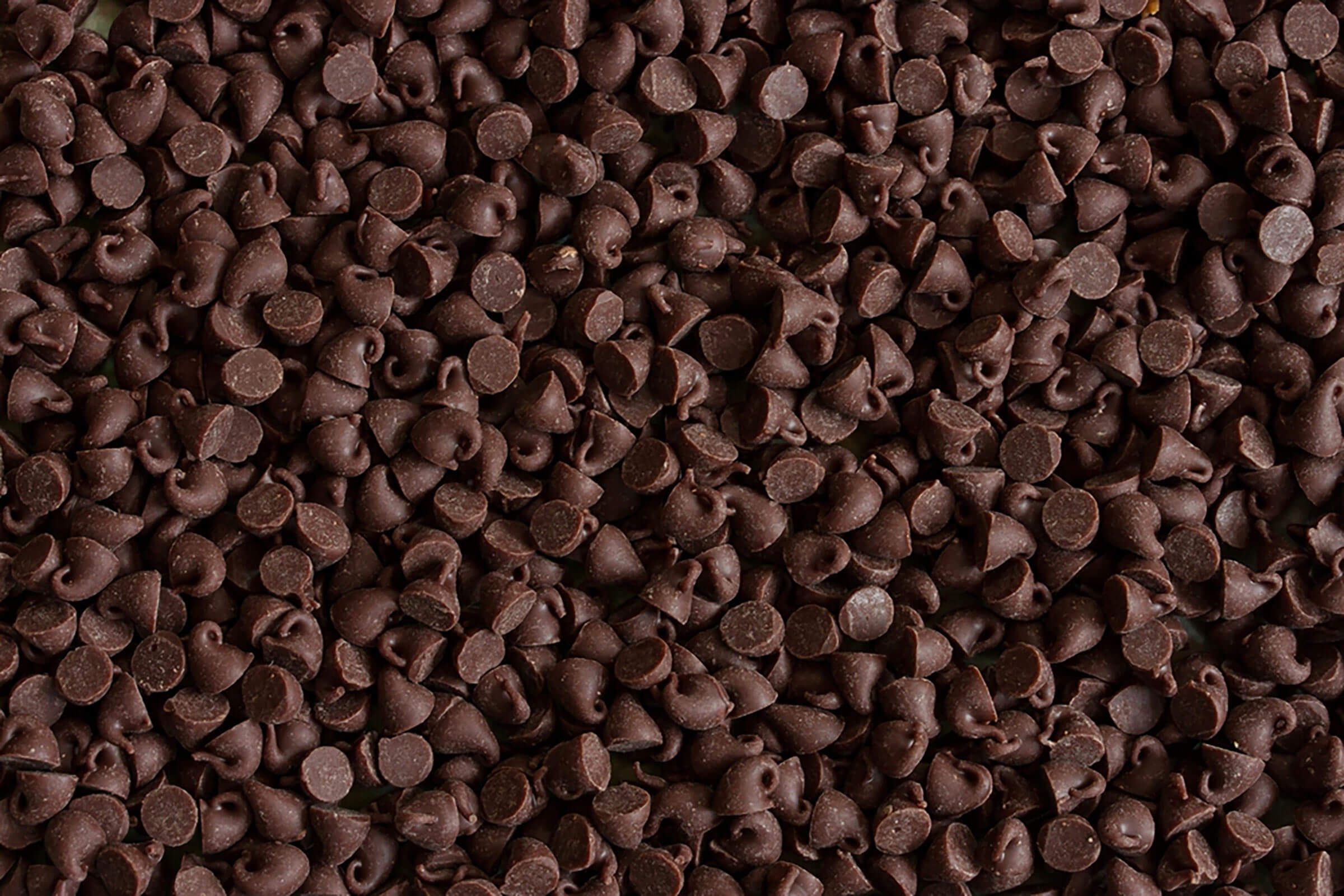close-up of chocolate chips
