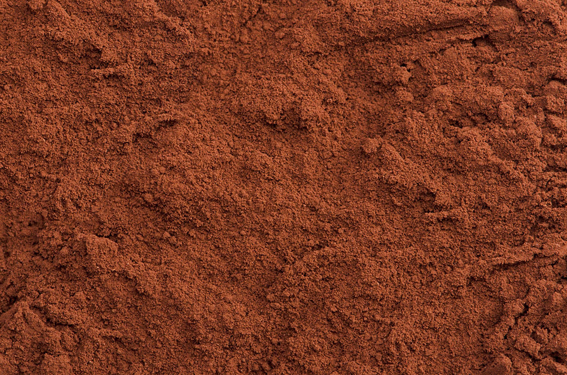 close-up of cocoa powder
