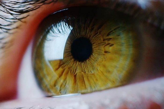 close-up of hazel eye