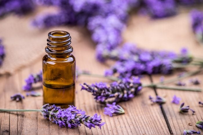 herbal lavender oil