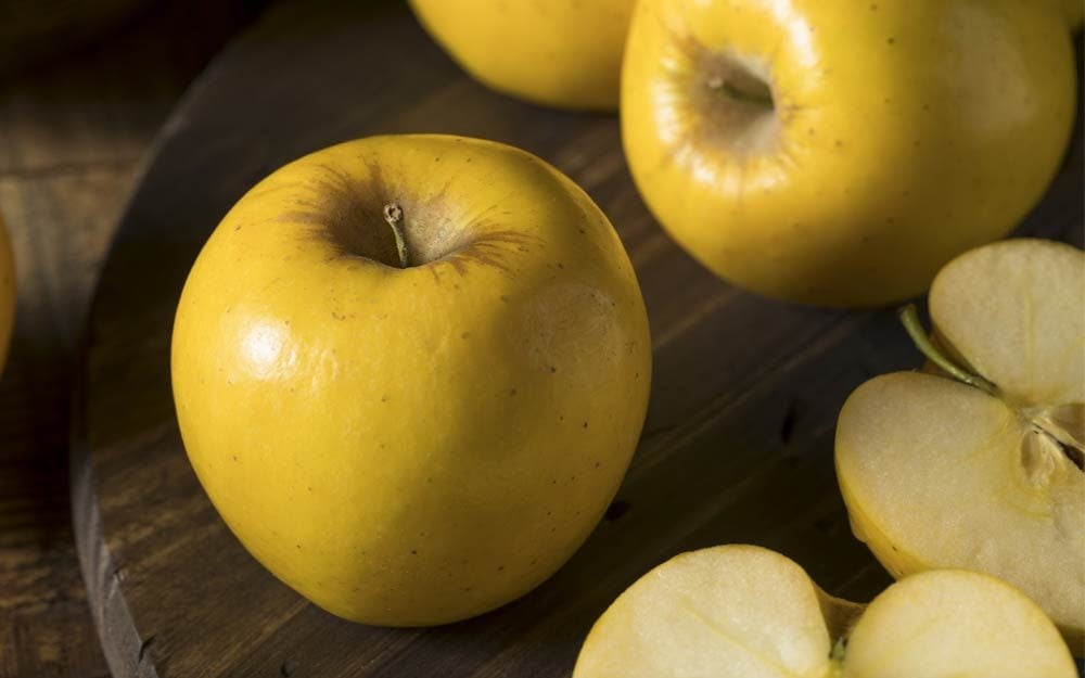 Opal Apples - The Yellow Apple with a Crispy Bite