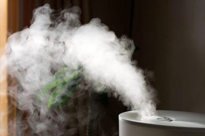 Humidifier with air blowing out of it