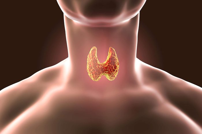 illustration of thyroid in a woman's neck