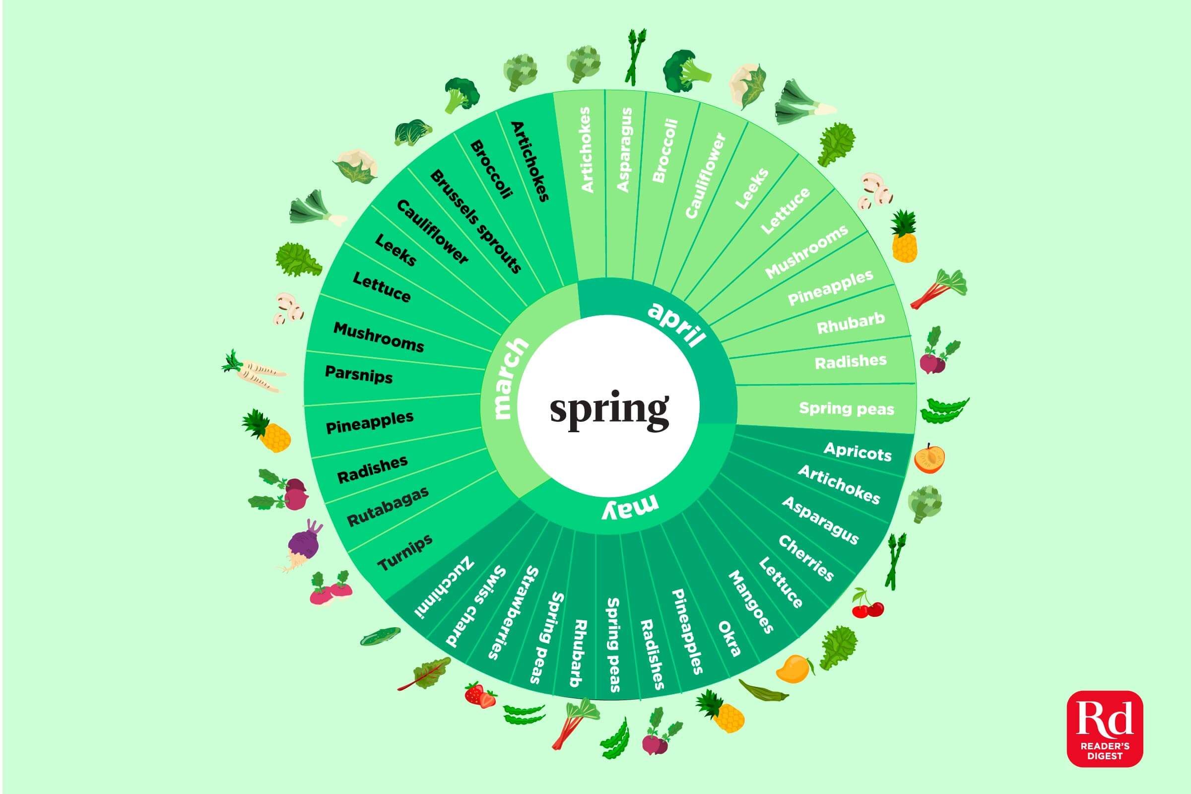 Illustration of in-season spring produce.