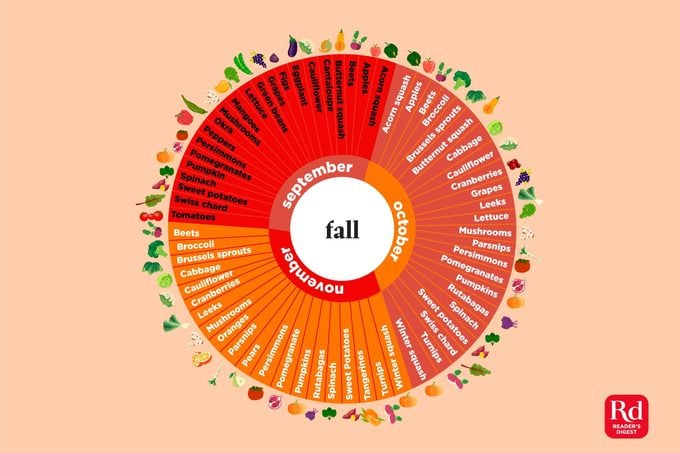 Illustration of in-season fall produce.
