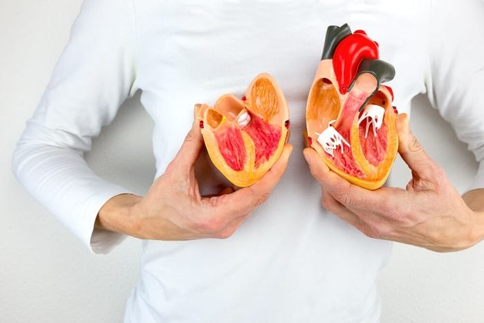 Woman holds open model heart at white body