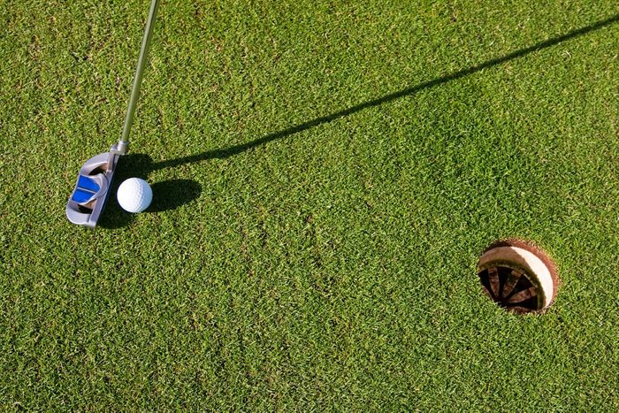 Closeup photo of a short putt. Overhead viewpoint, nobody in the image, with long morning shadows.