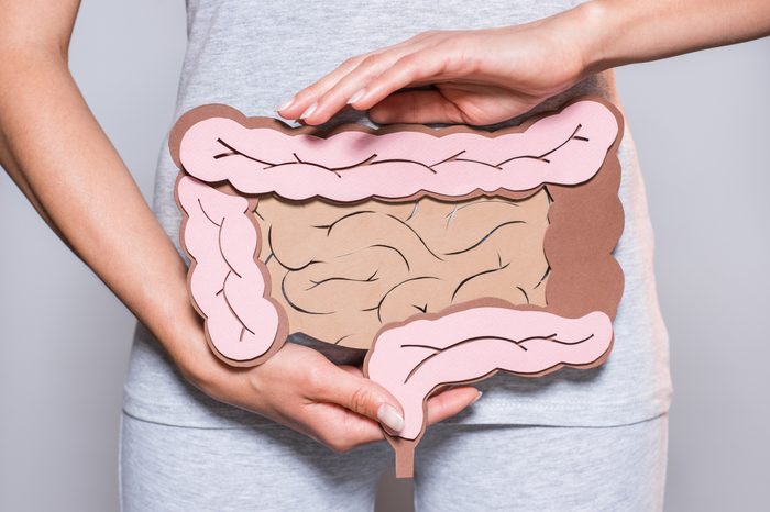 gut intestinal tract health