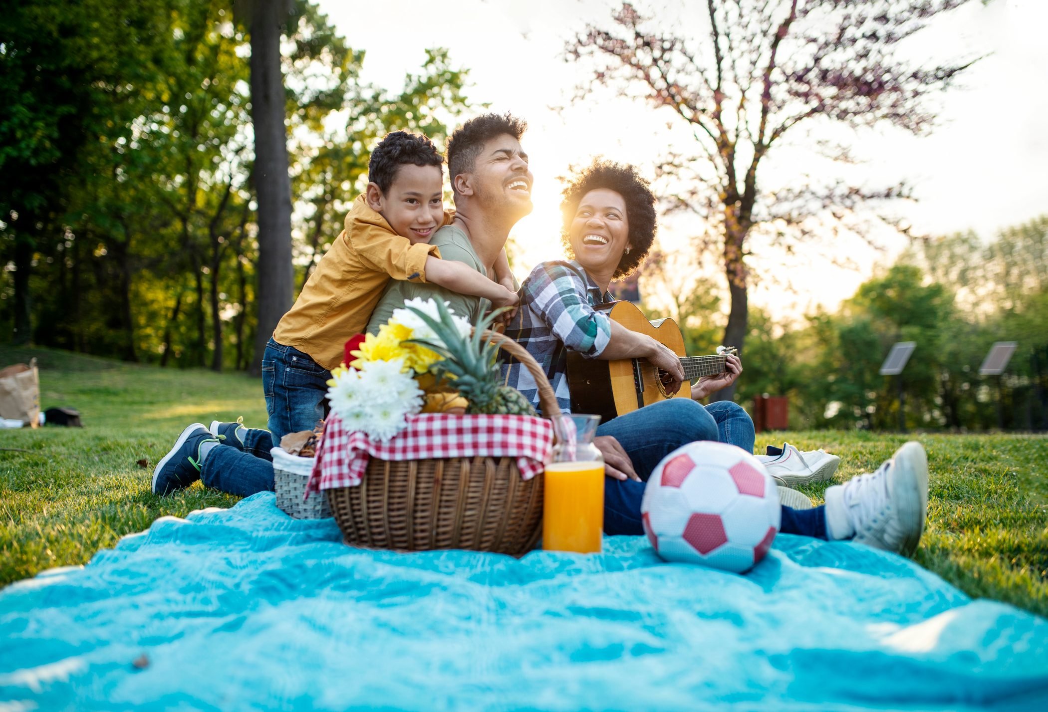 family picnic at the park