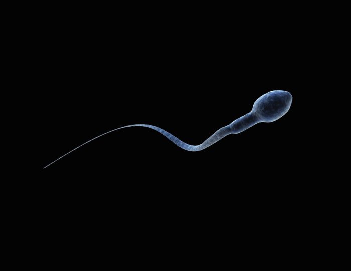 sperm cell on black background