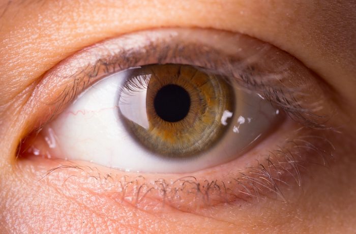 Human eye close-up. dark green human eye