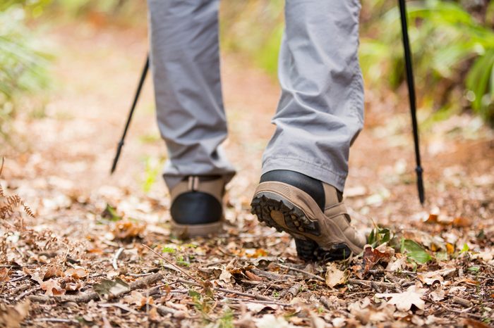 Male hiker walking with hiking pole in forest