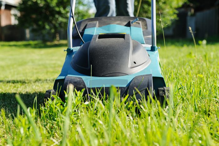 lawn mower in the grass