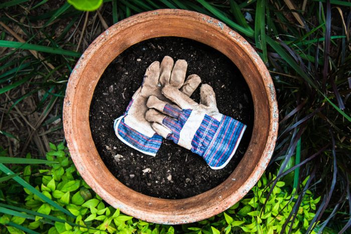Garden gloves in plant pot