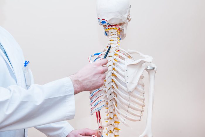 medical doctor man pointing on cervical spine of human skeleton anatomical model